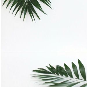 Meet your Posher, Kaitlyn